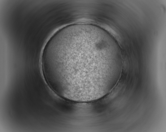X0000093261478200710031555