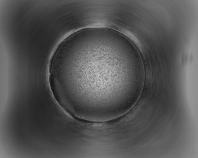 X0000093261480200710031555