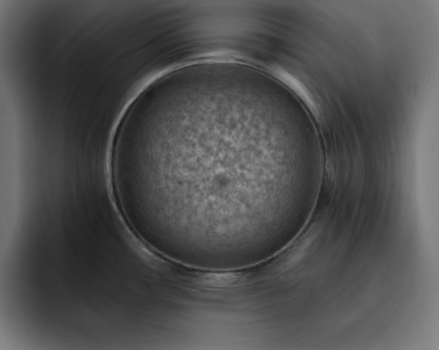 X0000093261482200710031555