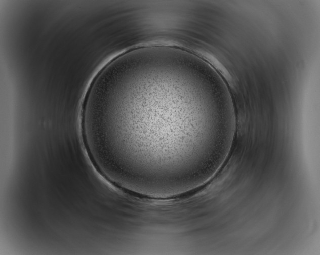 X0000093261484200710031555