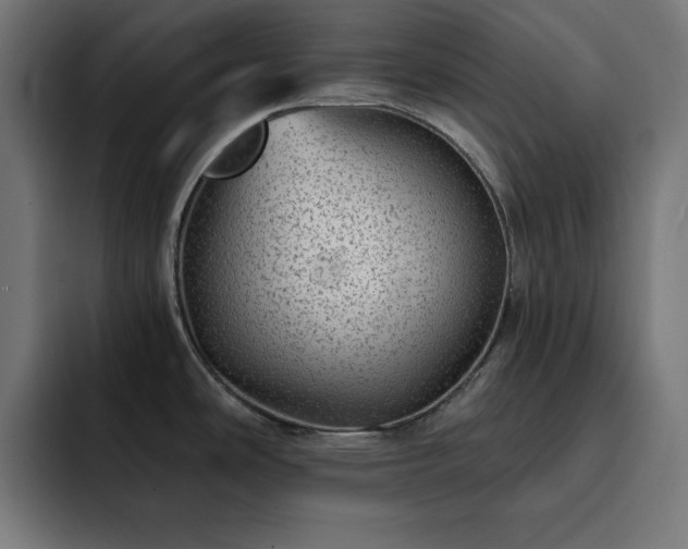 X0000093261486200710031555