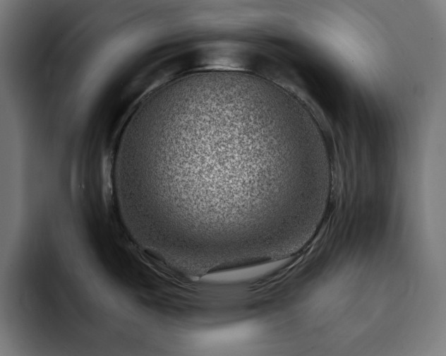 X0000093261487200710031555