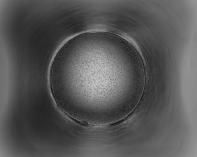 X0000093261488200710031555