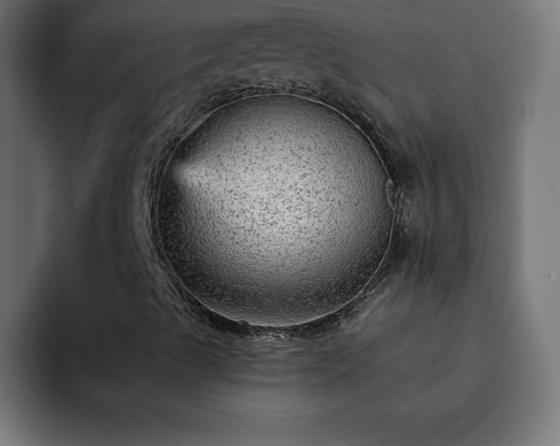 X0000093261489200710031554