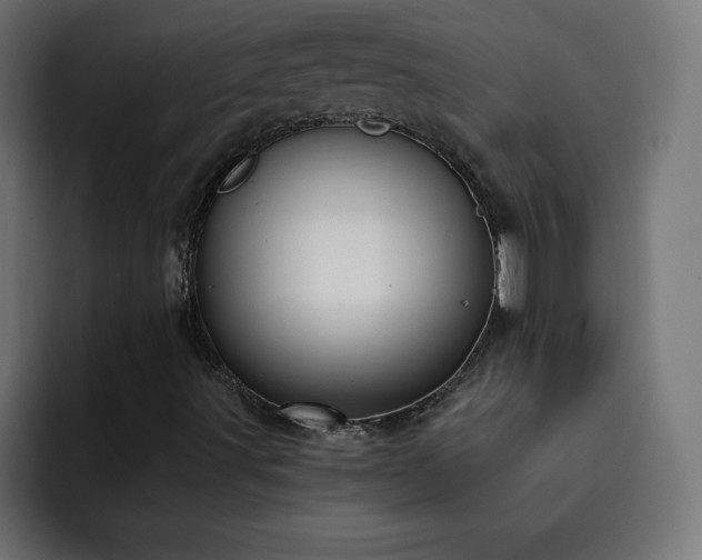 X0000093261491200710031554