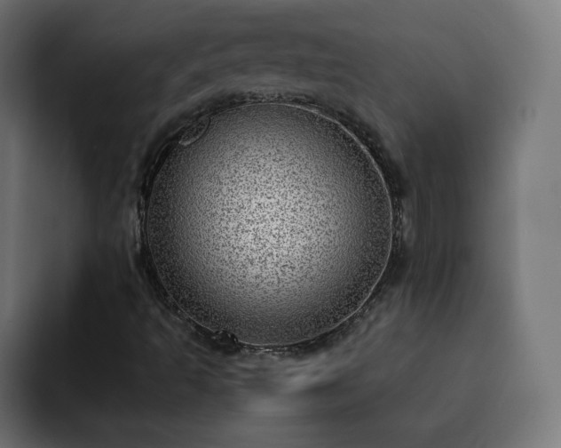 X0000093261493200710031554