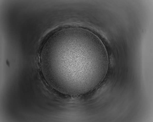 X0000093261494200710031554