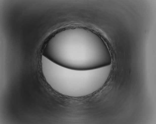 X0000093261496200710031554