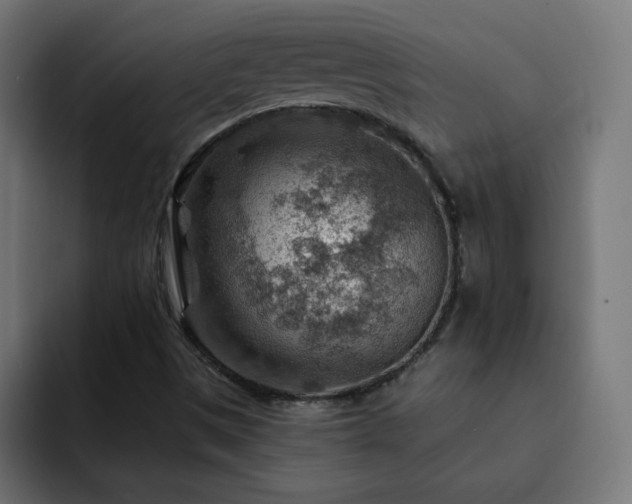 X0000093261497200710031554