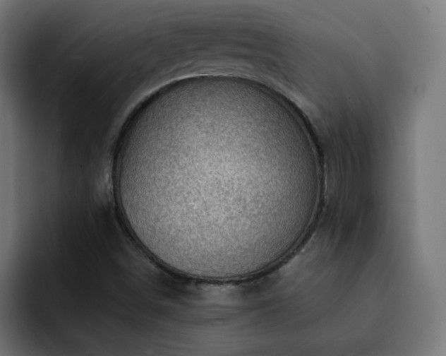 X0000093261498200710031554