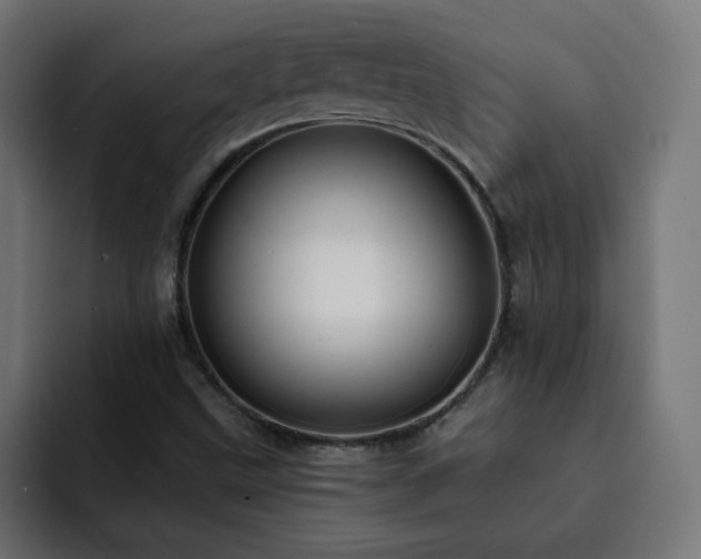 X0000093261499200710031554