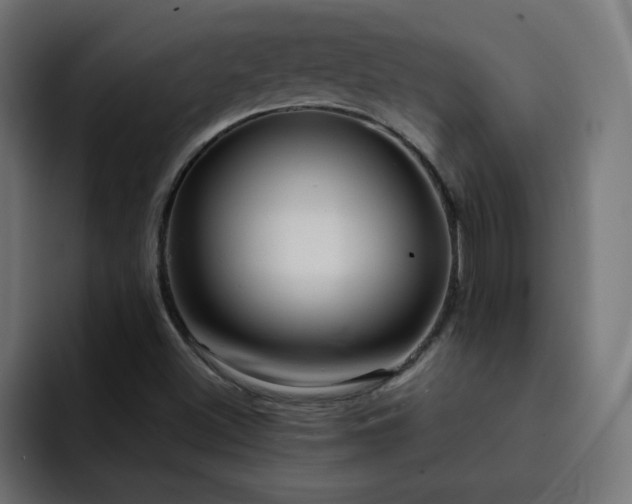 X0000093261500200710031554