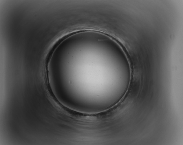 X0000093261503200710031554