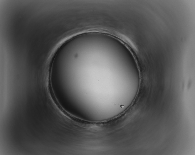X0000093261504200710031554