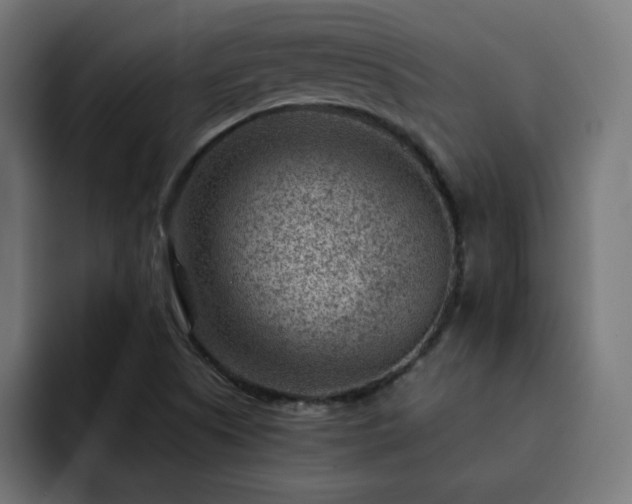 X0000093261505200710031554