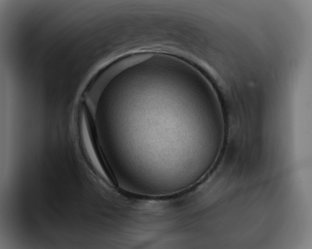 X0000093261506200710031554