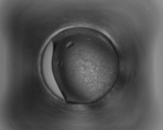 X0000093261508200710031554