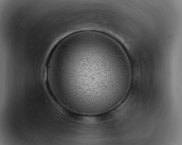 X0000093261509200710031554
