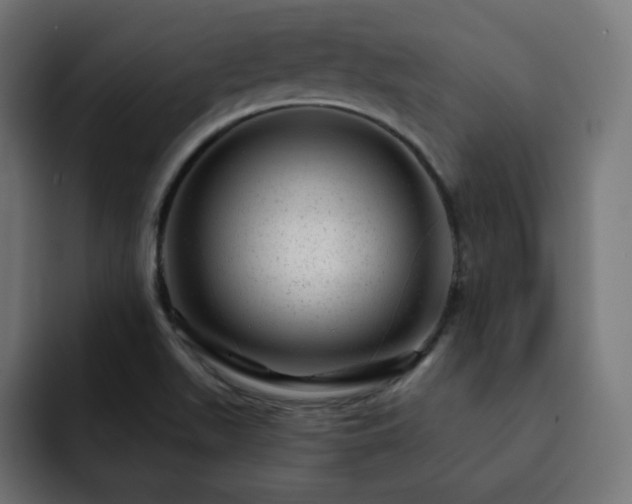 X0000093261511200710031554