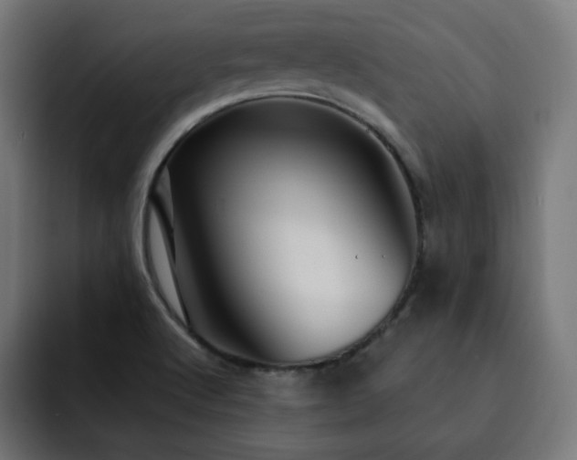 X0000093261512200710031554