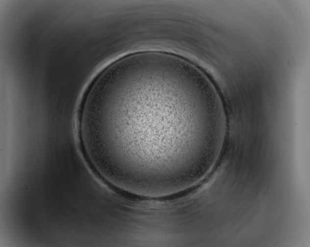 X0000093261517200710031554