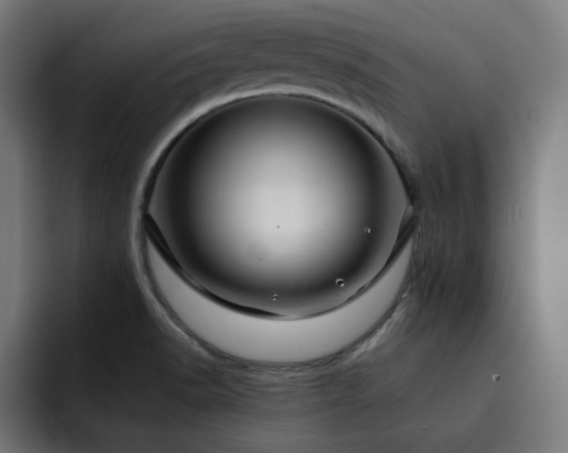 X0000093261518200710031554