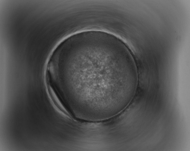 X0000093261519200710031554