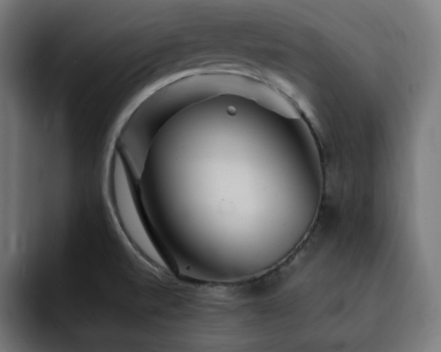 X0000093261520200710031554
