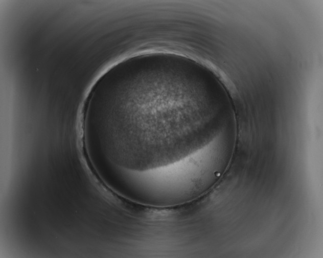 X0000093261522200710031554
