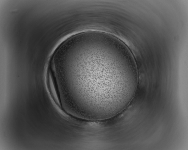 X0000093261523200710031554