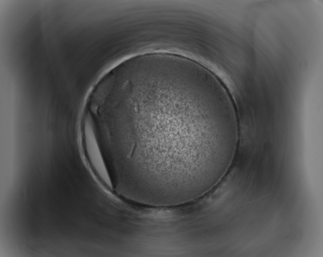 X0000093261525200710031555