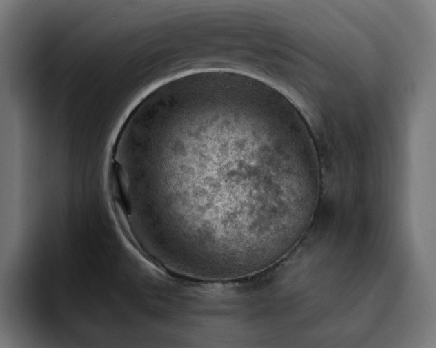 X0000093261527200710031555