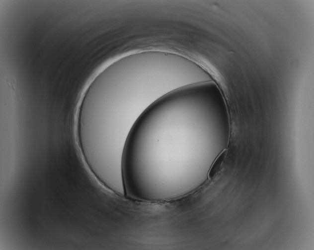 X0000093261528200710031555