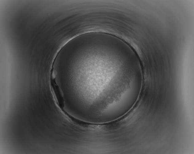 X0000093261529200710031555