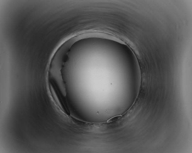 X0000093261530200710031555