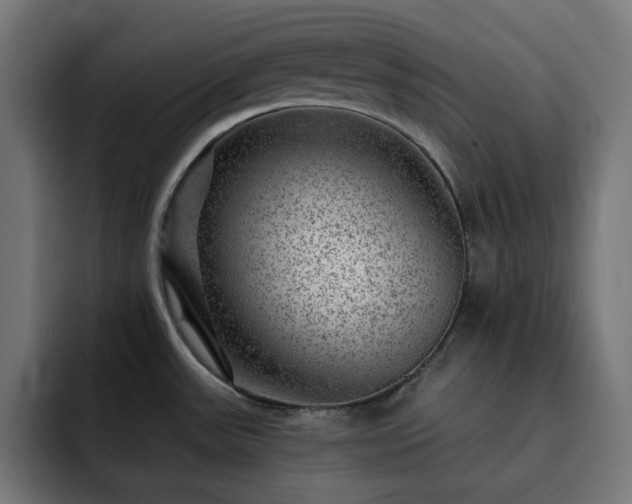 X0000093261531200710031555