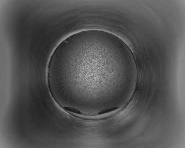 X0000093261535200710031555