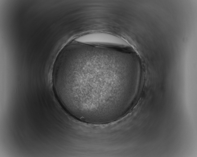 X0000093260002200710101507