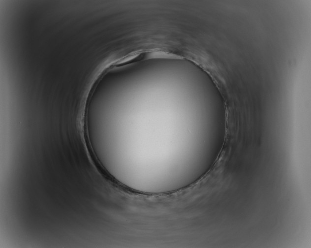 X0000093260003200710101507