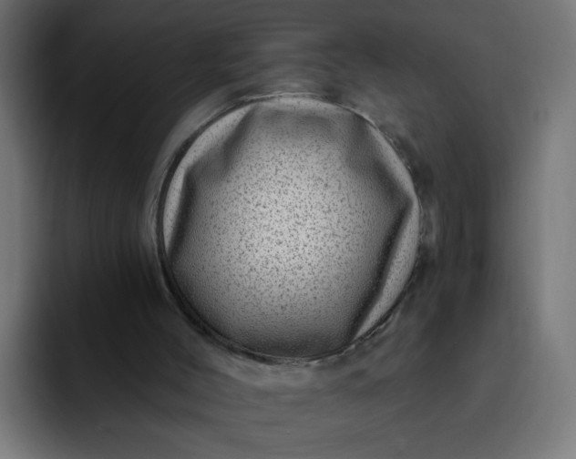 X0000093260004200710101507