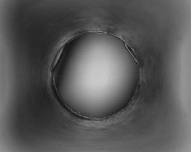 X0000093260005200710101507