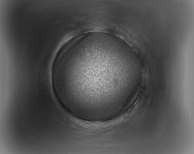 X0000093260006200710101507