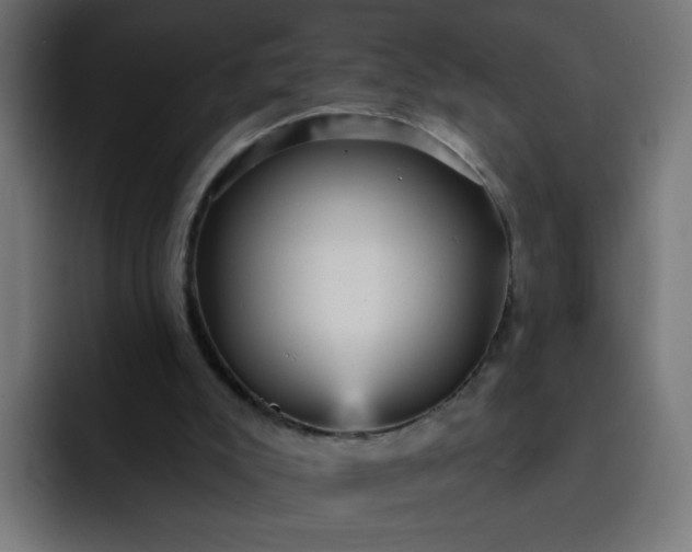 X0000093260007200710101507