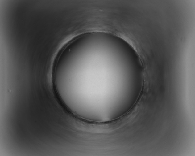 X0000093260008200710101507