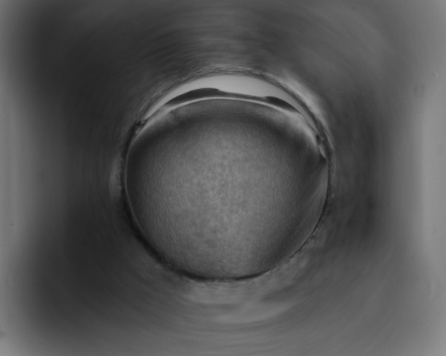 X0000093260009200710101507