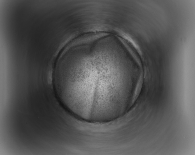 X0000093260010200710101507