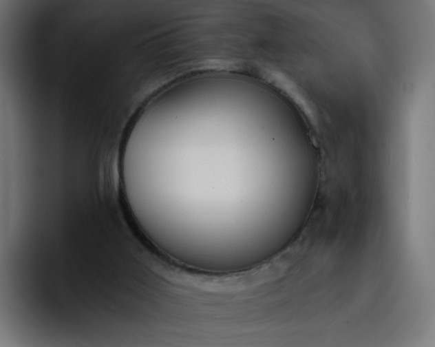 X0000093260011200710101507