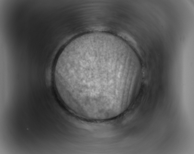 X0000093260012200710101507