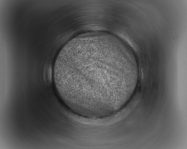 X0000093260014200710101507