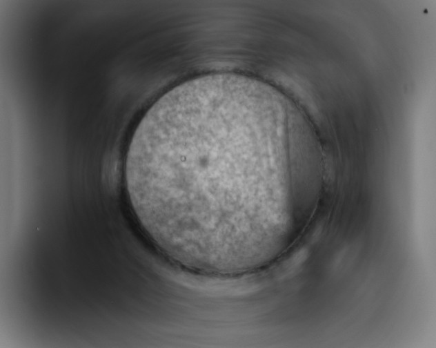 X0000093260016200710101507